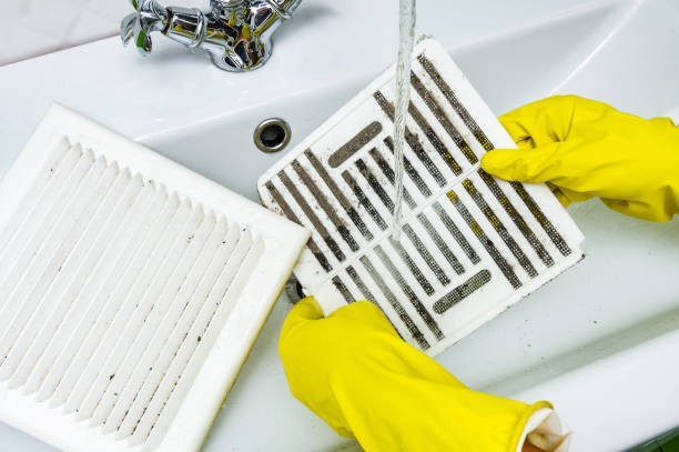 Best Professional Duct Cleaning Services  in USA